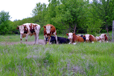 Similar image 22174013