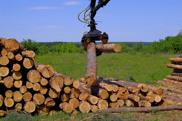 Similar image 22174015