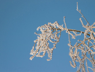 Similar image 22174521