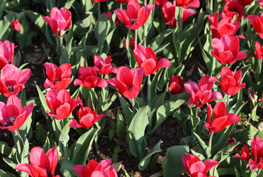 Similar image 22174530