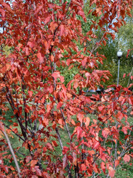 Similar image 22174532