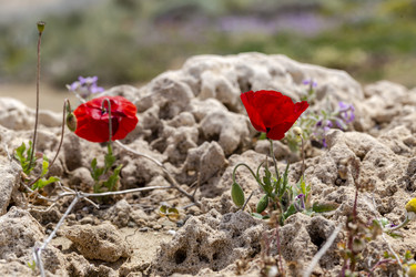 Similar image 22176883