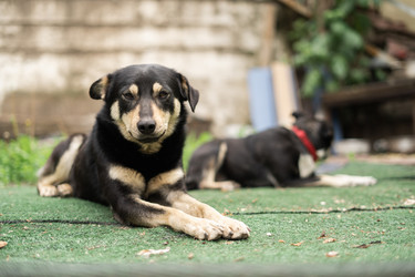 Similar image 22172784