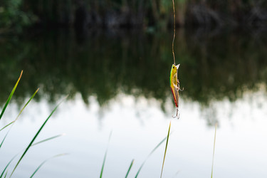 Similar image 22172788