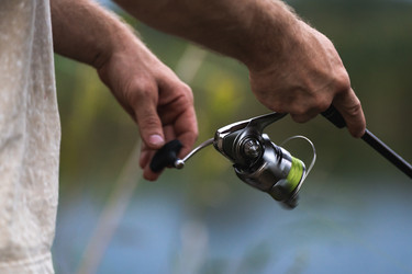 Similar image 22172789