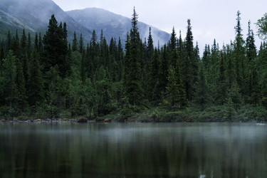 Similar image 22172791