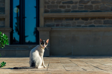 Similar image 22177970