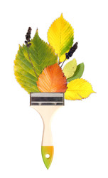 Similar image 22175602