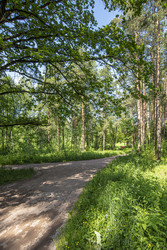 Similar image 22179590