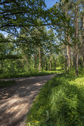 Similar image 22179591