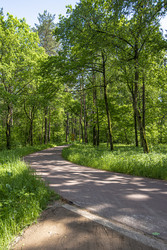 Similar image 22179592