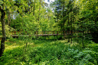 Similar image 22179595