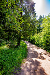 Similar image 22179596