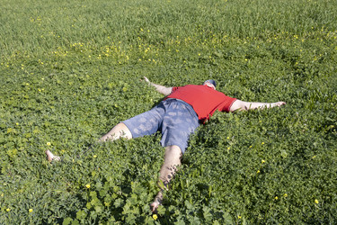 Similar image 22174273