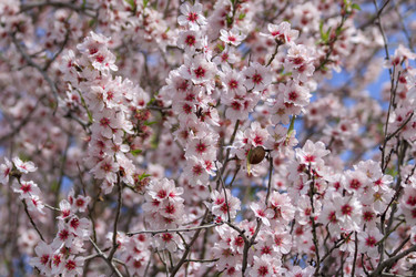 Similar image 22174275