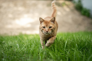 Similar image 22172794