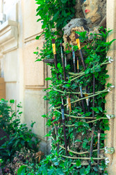 Similar image 22177753