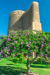 Similar image 22178000