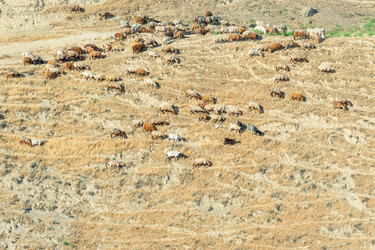 Similar image 22178296