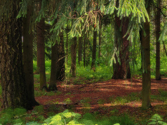 Similar image 22179253