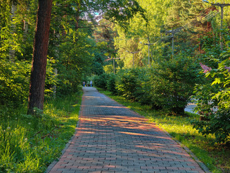 Similar image 22179255