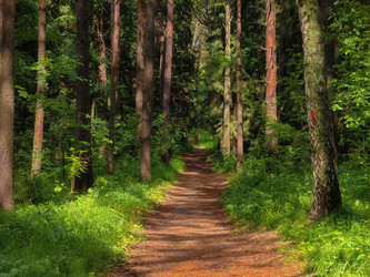 Similar image 22179256