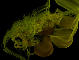 Similar image 22176769