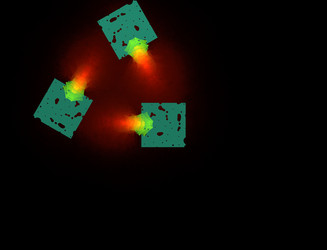 Similar image 22176770