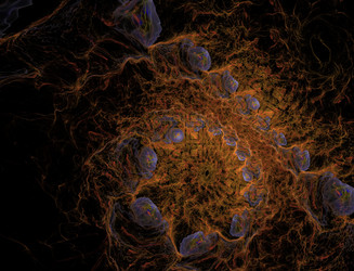 Similar image 22176773