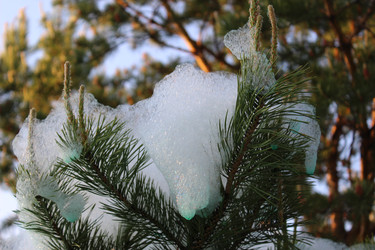 Similar image 22174040