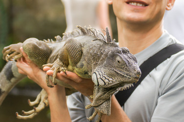 Similar image 22181418