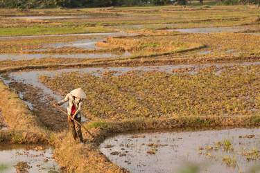 Similar image 22181426