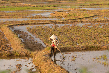 Similar image 22181427