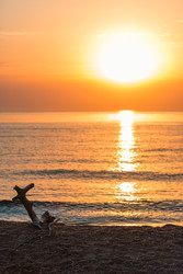 Similar image 22178308