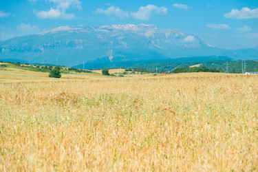 Similar image 22178312