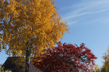 Similar image 22174813