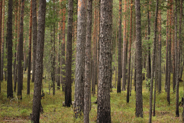 Similar image 22174814