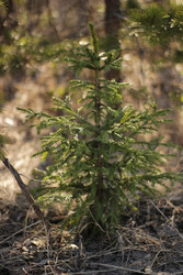 Similar image 22174815