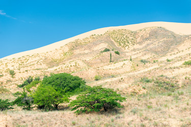 Similar image 22175696