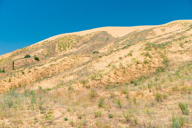 Similar image 22175698