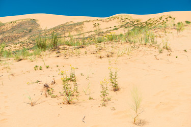 Similar image 22175700