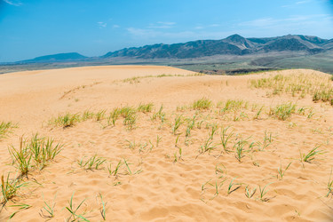 Similar image 22175704