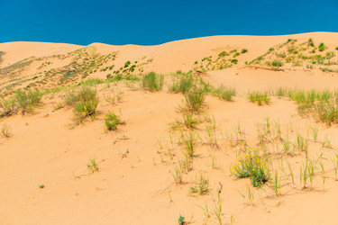 Similar image 22175706