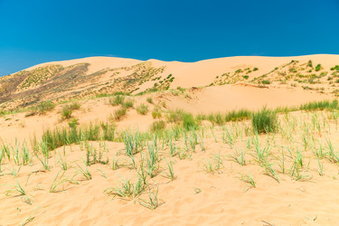 Similar image 22177771