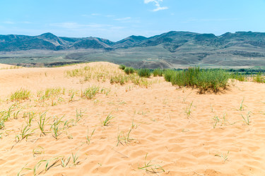 Similar image 22177779