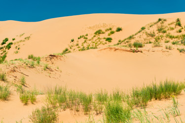 Similar image 22177780