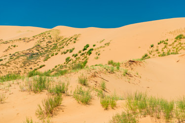 Similar image 22177782