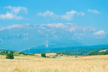 Similar image 22177785