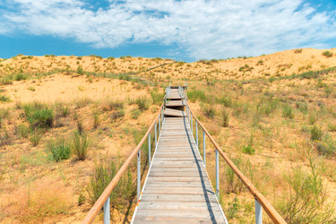 Similar image 22177796