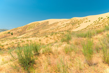 Similar image 22177798